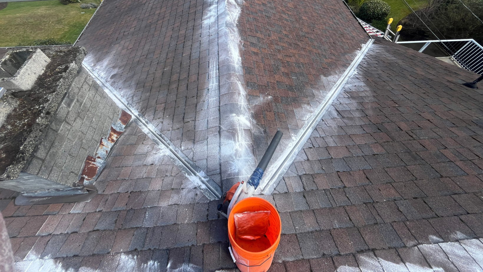 How to Get Rid of Moss on Asphalt Shingle Roofs in BC